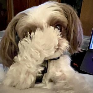 Meet your Posher, Kendra